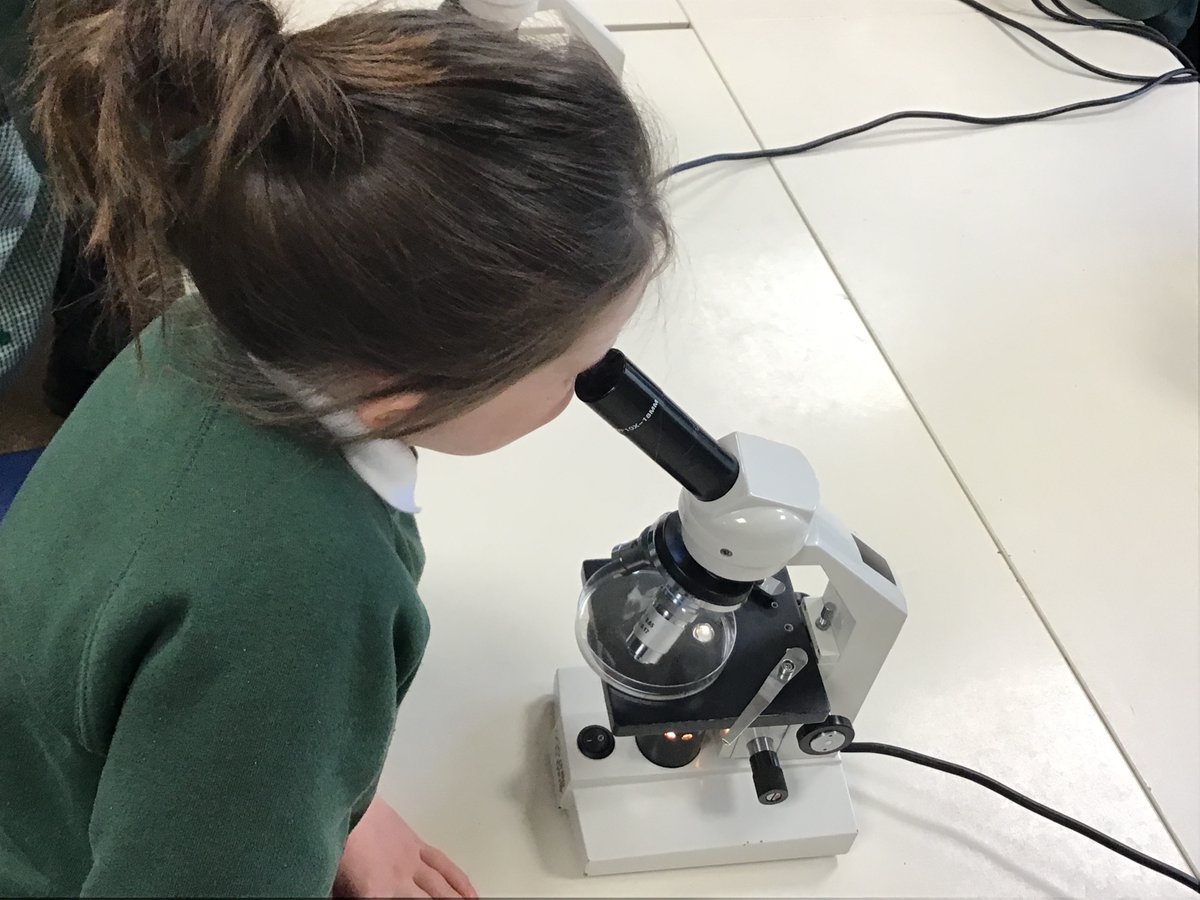 Quethiock CE School tweet media