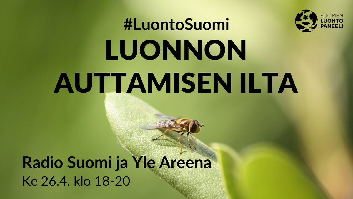 Mitä olet aina halunnut tietää luonnon monimuotoisuudesta ja #luontokato-ratkaisuista?

Luontopaneelin asiantuntijat vastaavat kysymyksiin #LuontoSuomi-lähetyksessä.

Luonnon auttamisen ilta
📻 Yle <a href="/radiosuomi/">Yle Radio Suomi</a> + 📺<a href="/yleareena/">Yle Areena</a>
🗓️ ke 26.4.
⏰ klo 18–20

👉 areena.yle.fi/1-65515043