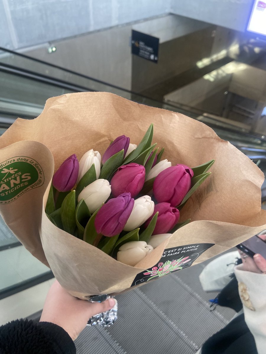 jsuisgemo's tweet photo. je pense à elles tous les jours https://t.co/grWu9UJEB2