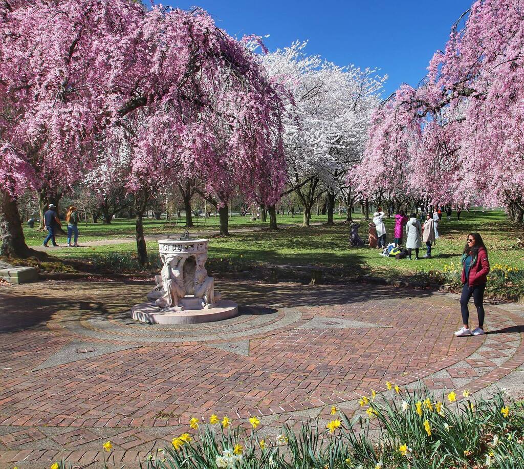 Pink & white & everything nice… 🌸🌸🌸 #cherryblossom #cherryblossoms #nature #garden #findinphilly #horticulture #horticulturecenter #fairmountpark #philadelphia #philly #phillygram #phillymasters #phillyprimeshots #phl_shooters #phlshooters #phillyfra… instagr.am/p/CrQgqEQuNjO/