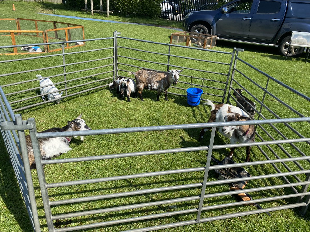 Glebe Primary School tweet media