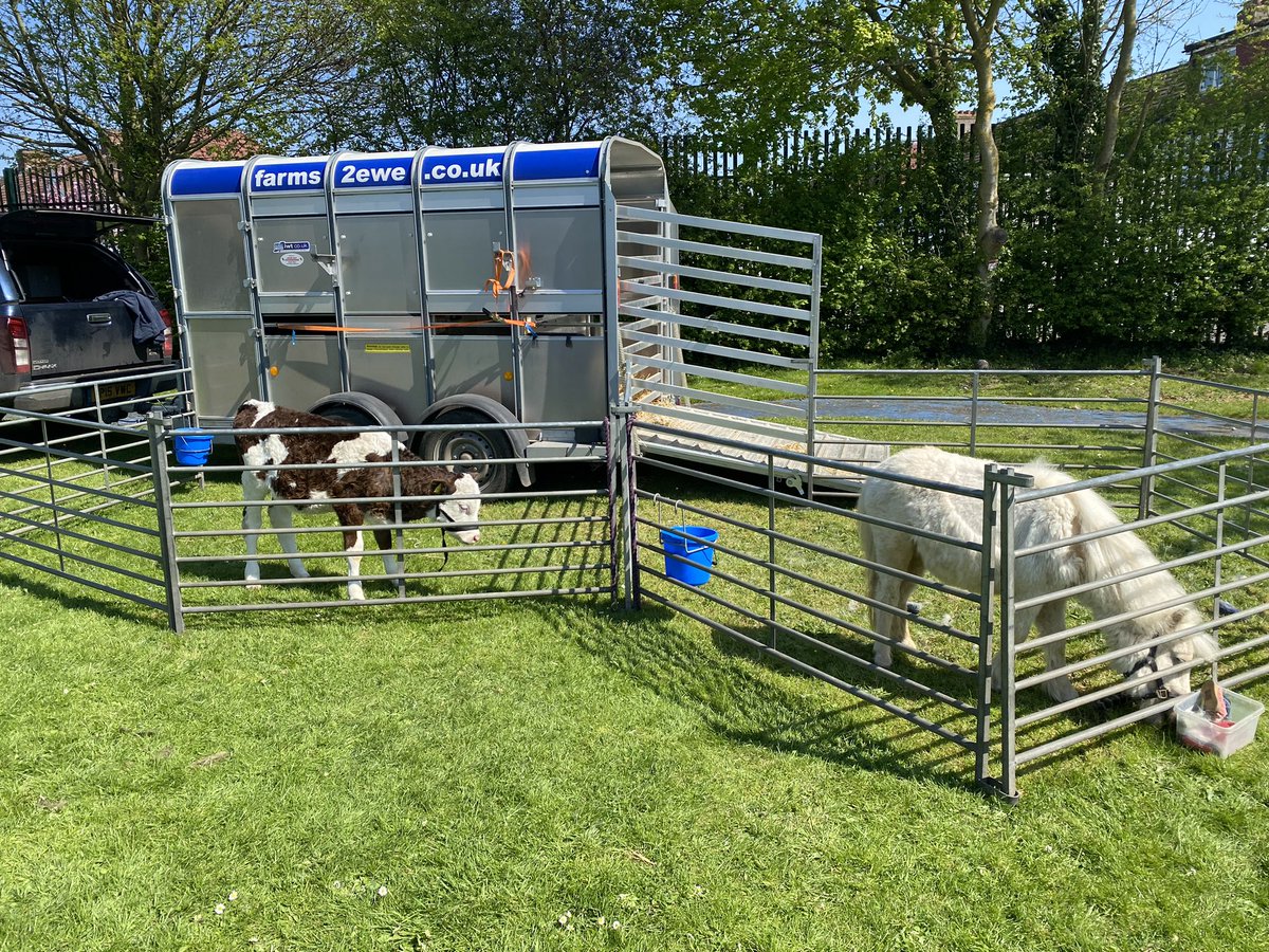 Glebe Primary School tweet media