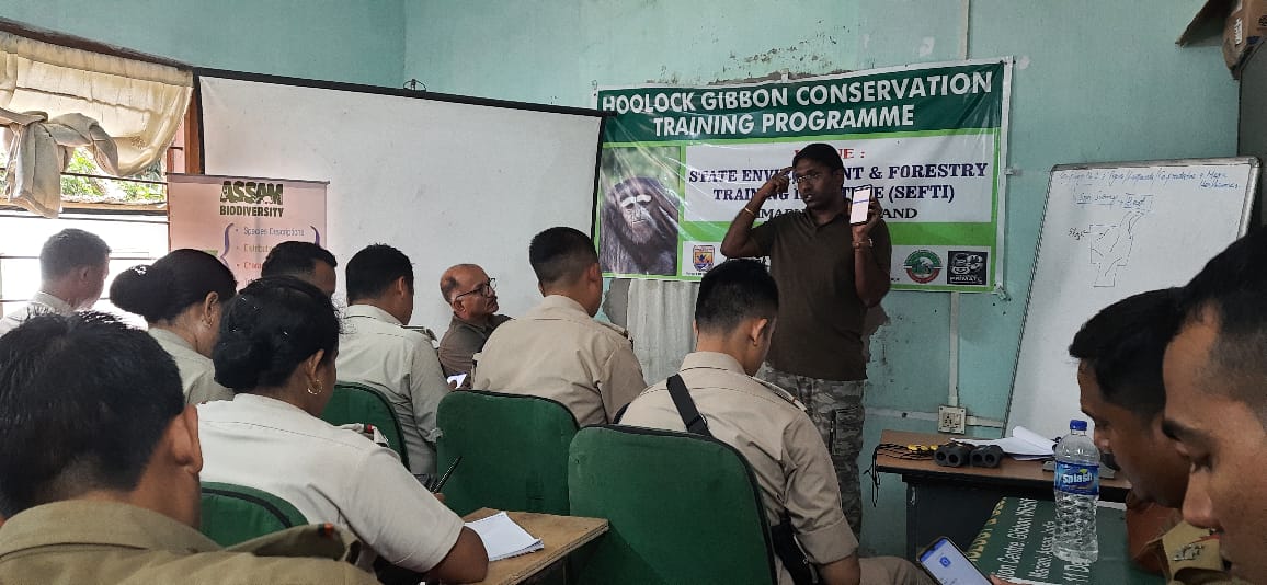 DFO Jorhat (T) Division tweet media