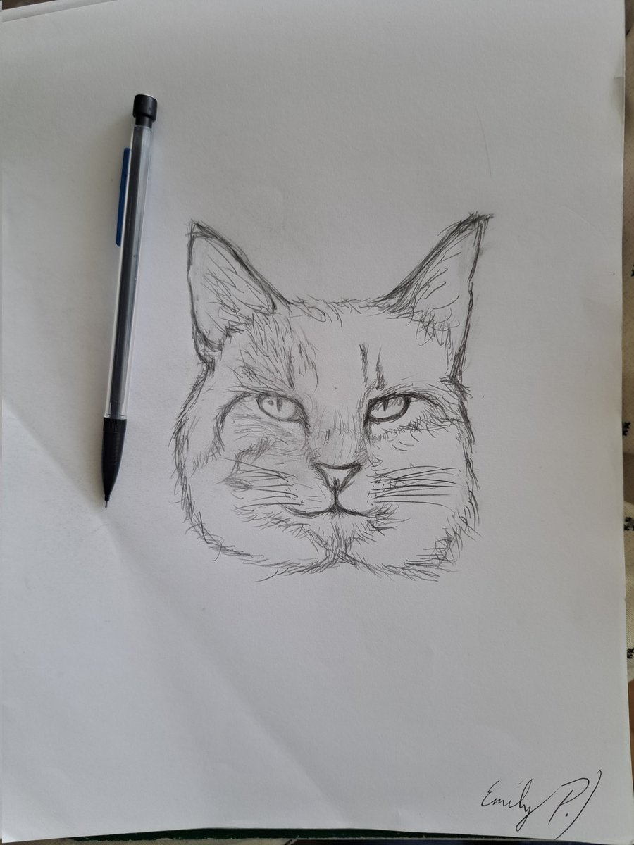 Epop90032123's tweet photo. @Arteymas_, @Havenlust, @MAiJiNTHEARTIST, and @MargaretsArt I started drawing this, before bed last night. Took a pic of this cat, and drew from it. Not quite done yet, but lookin good so far. #wisconsinartist #portraitartist https://t.co/55DruWIt70