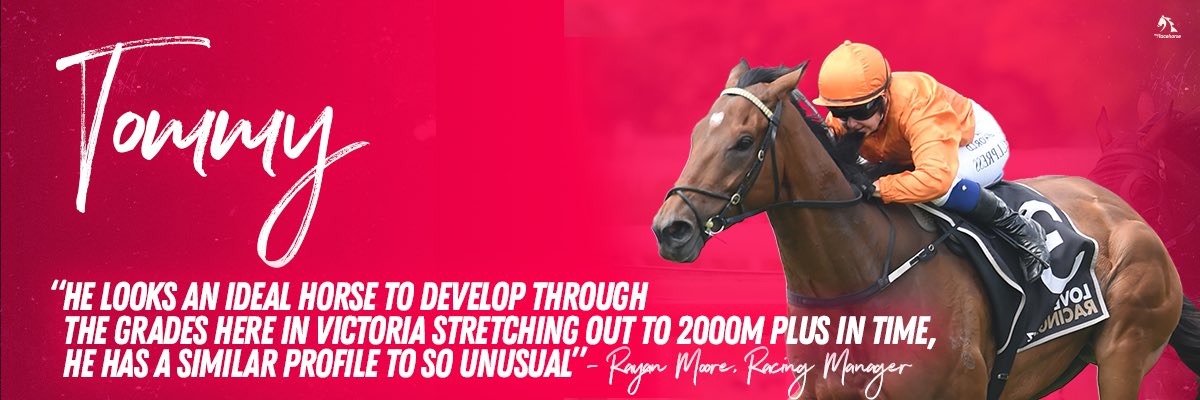 mrhowneraddict's tweet photo. Welcome to the 28th member of my Stable, Tommy.
I’m super excited to see what Tommy can do on the track. NZ Form looks super.
#number28
@MyRacehorseAU
@mcevoymitchell https://t.co/H0cN758jzP