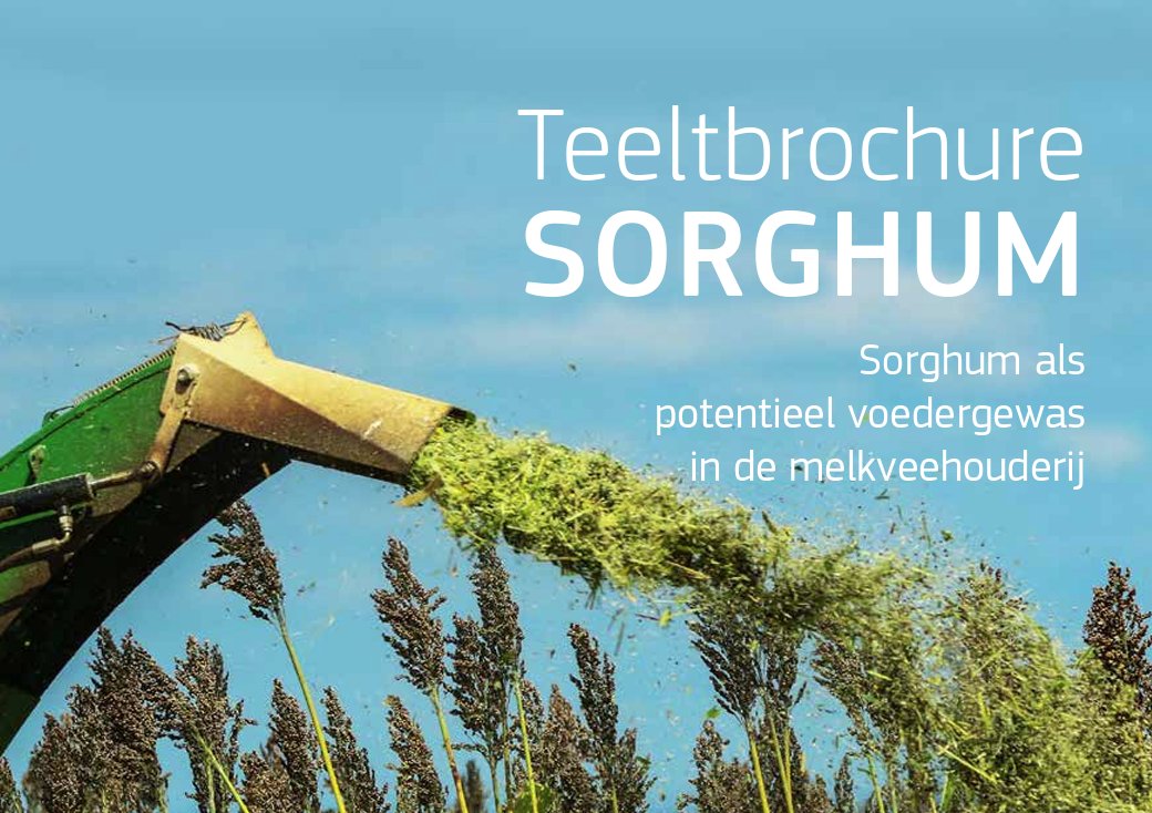 Uitgebreide teeltbrochure voor #sorghum louisbolk.nl/sites/default/…
