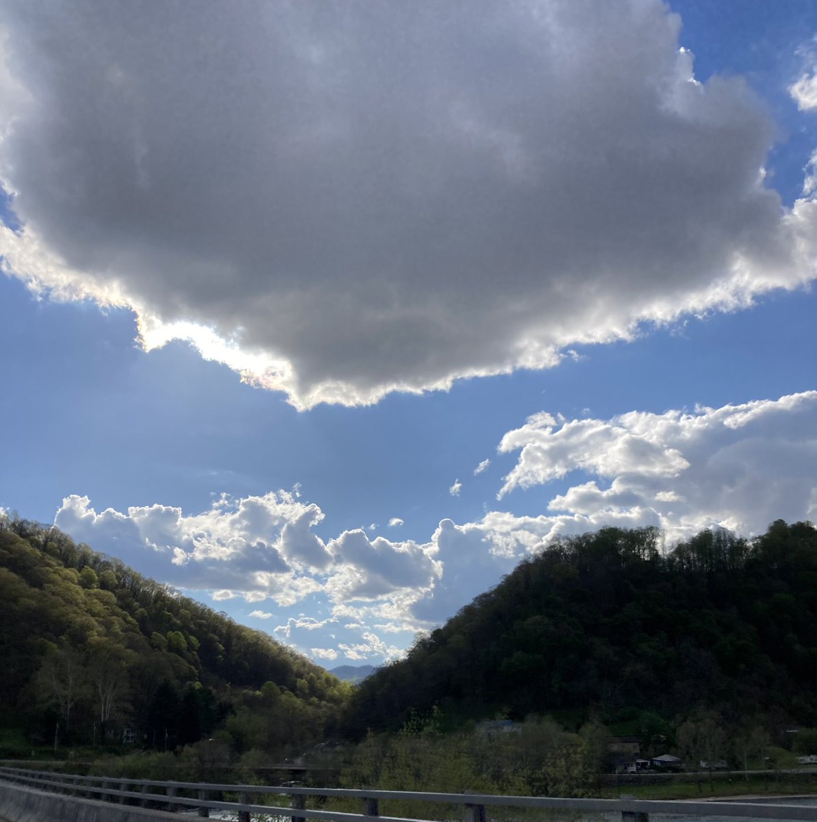 heatherdgilbert's tweet photo. The #WestVirginia mountains are bursting with fresh 💚 life right now—spring in WV is my fave. #appalachianspring #wildandwonderfulwv #spring #authorlife #wv https://t.co/jmTvj47fBF