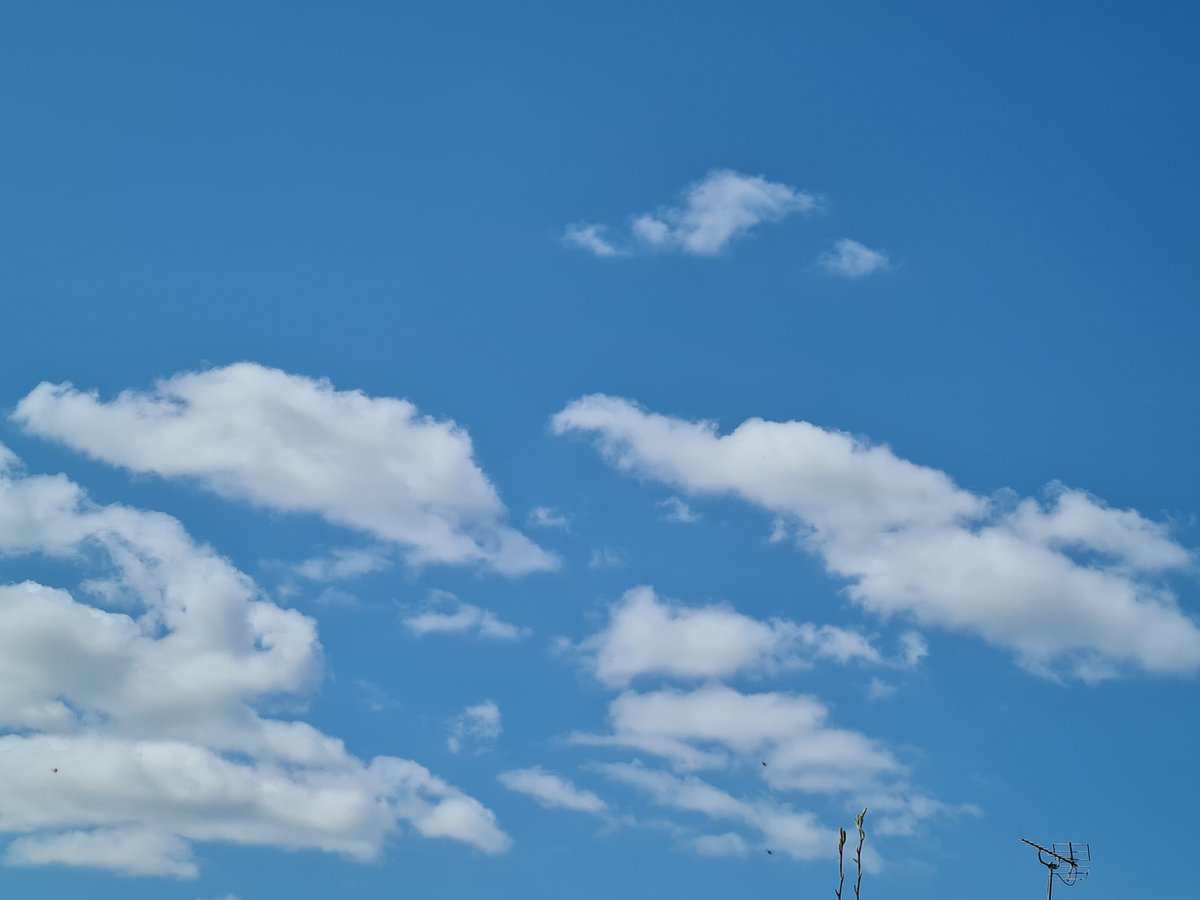 First bit of cloud today. Spring is back for a while.