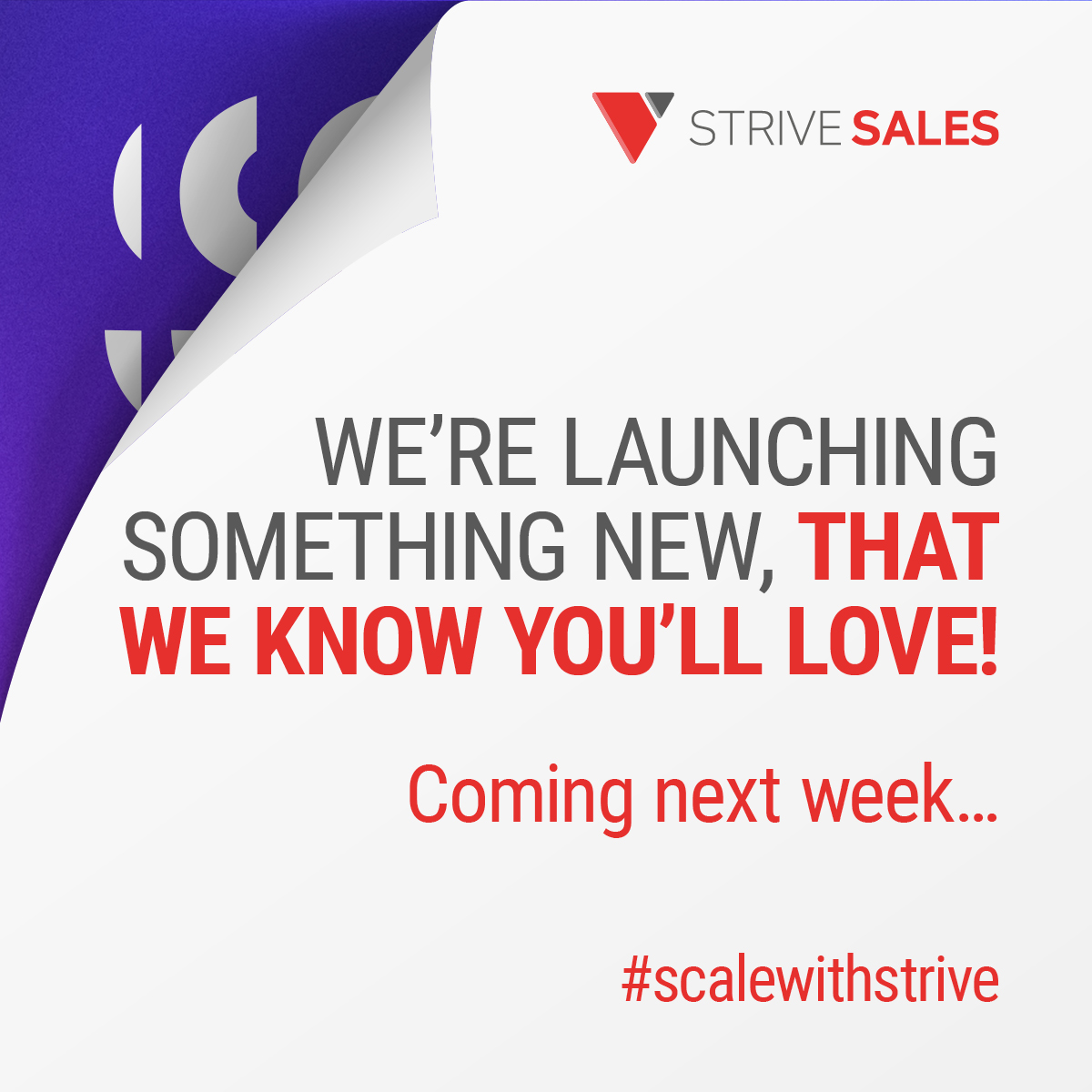 Coming next week - stay tuned 🥳

#scalewithstrive #saassales #companyannouncement
