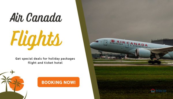 Looking For Other Air Canada Flights #other #forrent #wanted primelot.net