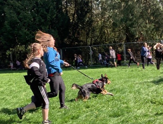 Tal very much enjoyed taking part in the #MiniLondonMarathon today with @KidneyWales He's very much a sheepdog though, so all those running children and adults were in desperate need of rounding up in Tal's humble opinion 🏃🏃‍♂️🏃‍♀️🐶 😆 #SchoolDog