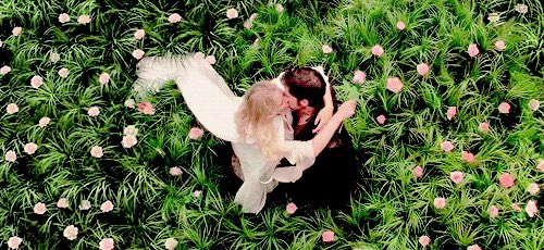 r_adreamer's tweet photo. @ajewishpirate #CaptainSwan♥️♥️ #DarkSwan #middlemist And Dark Swan led directly on to the #Underworld arc with its most wrenching farewell and most gratifying reunion ever… https://t.co/BvYfkQEe4A