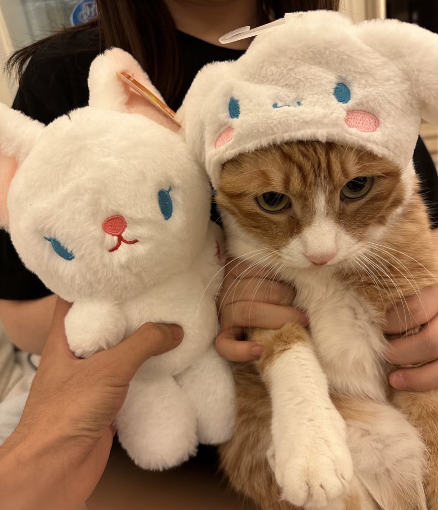 抒情考古学 tweet media