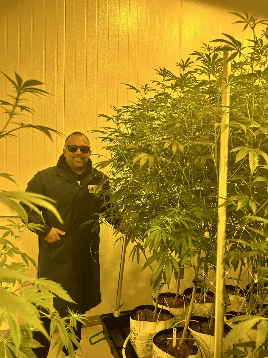 ORivera1998's tweet photo. Great to see the business growing! Super excited about the results! Life changing. #advancedcultivators #latinoowned https://t.co/86uAvgWaFg