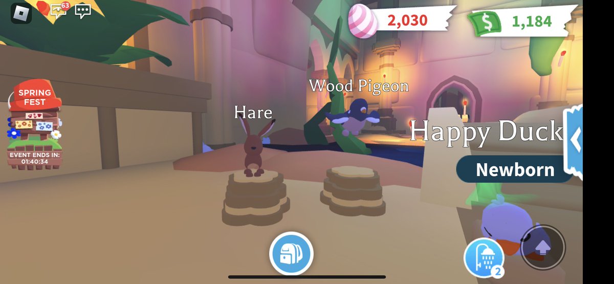 Anyone have these pets I can offer for? #adoptmetrading