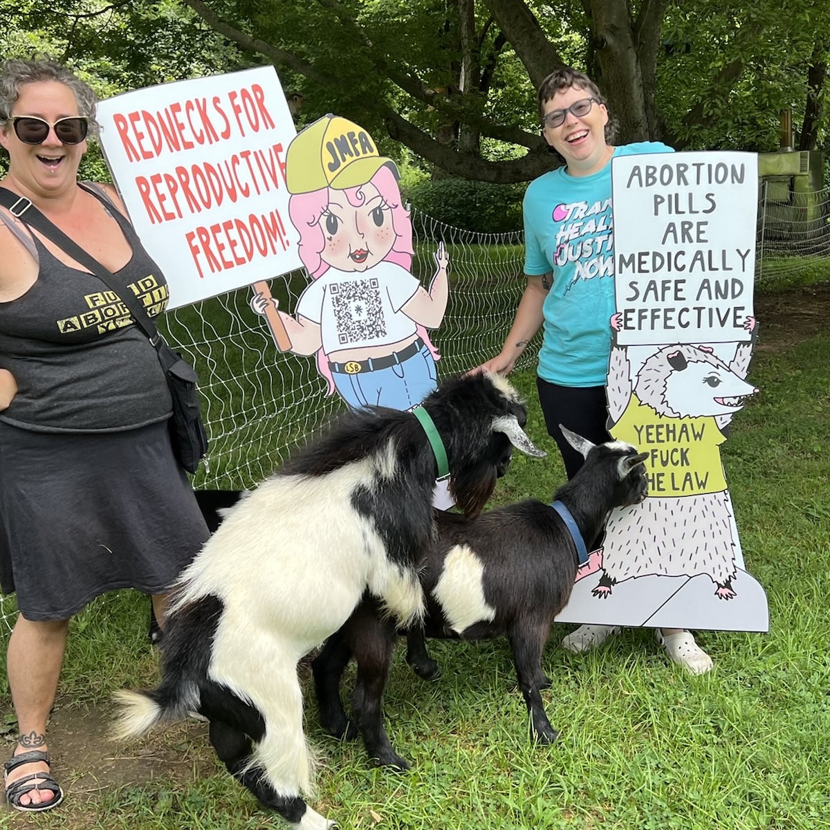 Meg • @bortion saves lives tweet media