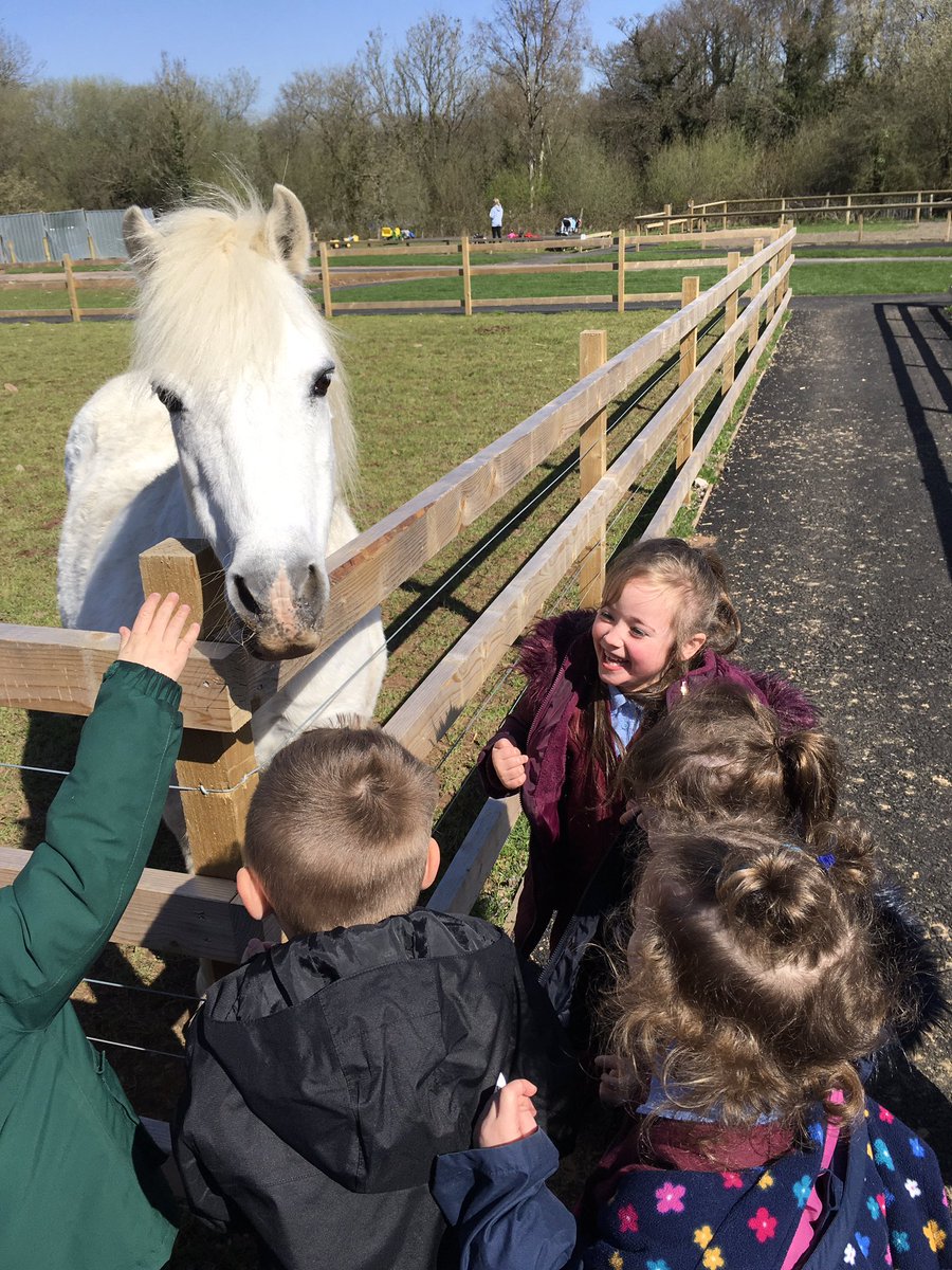 MrsPBHPS's tweet photo. #receptionbhps have had an amazing time today at Colliers Adventure farm. We began our new topic, Little Explorers, by exploring the new farm, their animals and the outdoors. @BeaufortHillPri https://t.co/kRLtn5jiwF