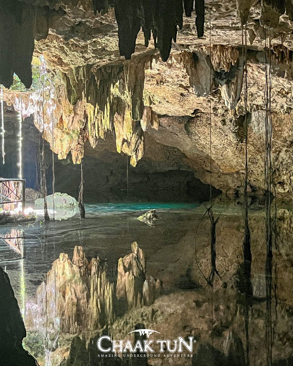 CenoteChaakTun's tweet photo. El secreto mejor guardado de Playa del Carmen se esconde bajo la tierra esperando ser descubierto. 🤩
#ChaakTun #ChaakTunMexico #CenoteChaakTun https://t.co/1AVg6pHFai