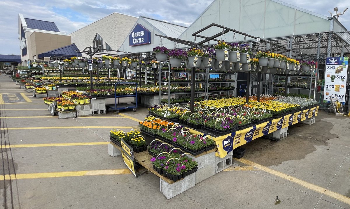 CK Greenhouses tweet media