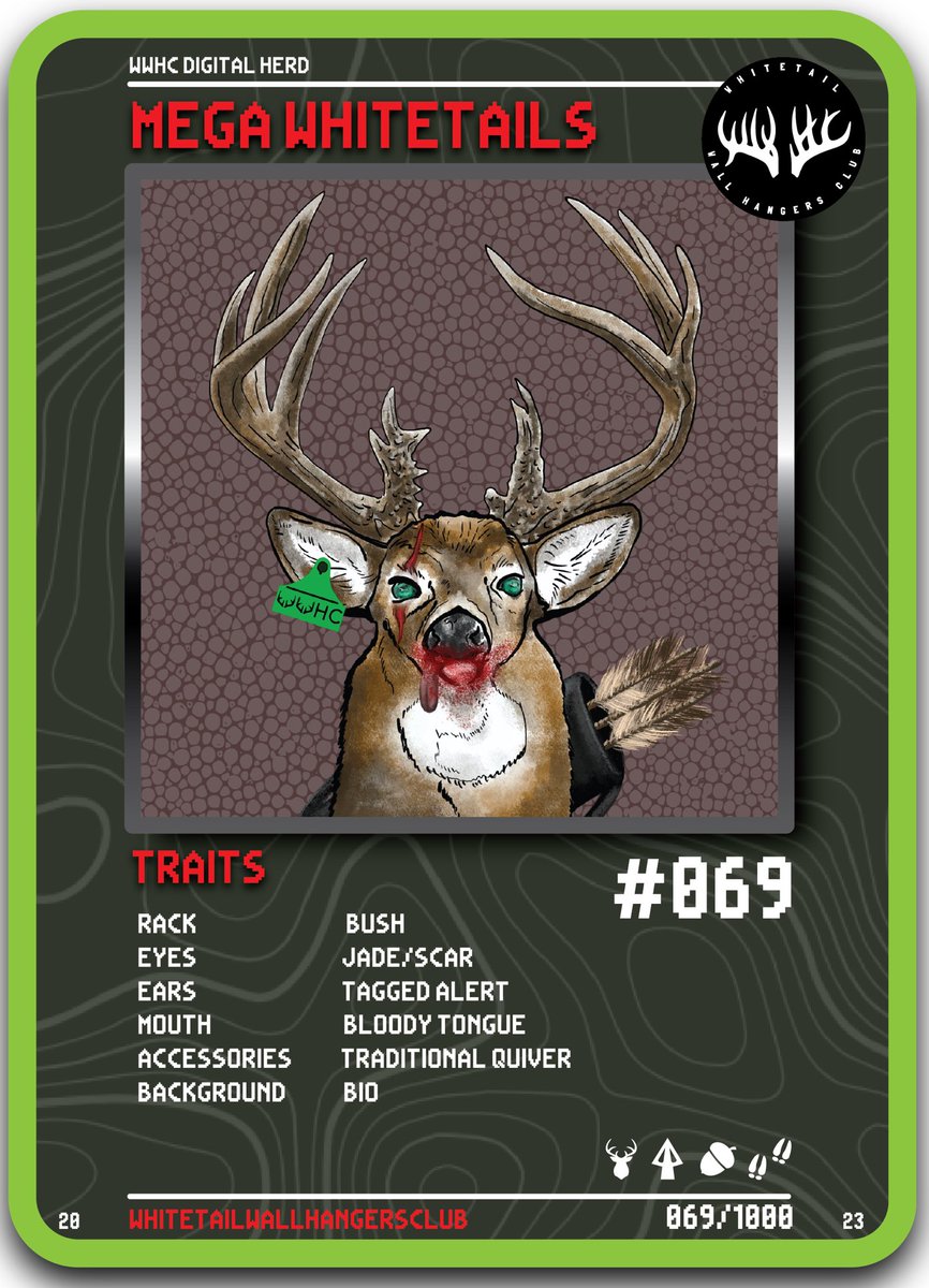 Whitetail Wall Hangers Club tweet media