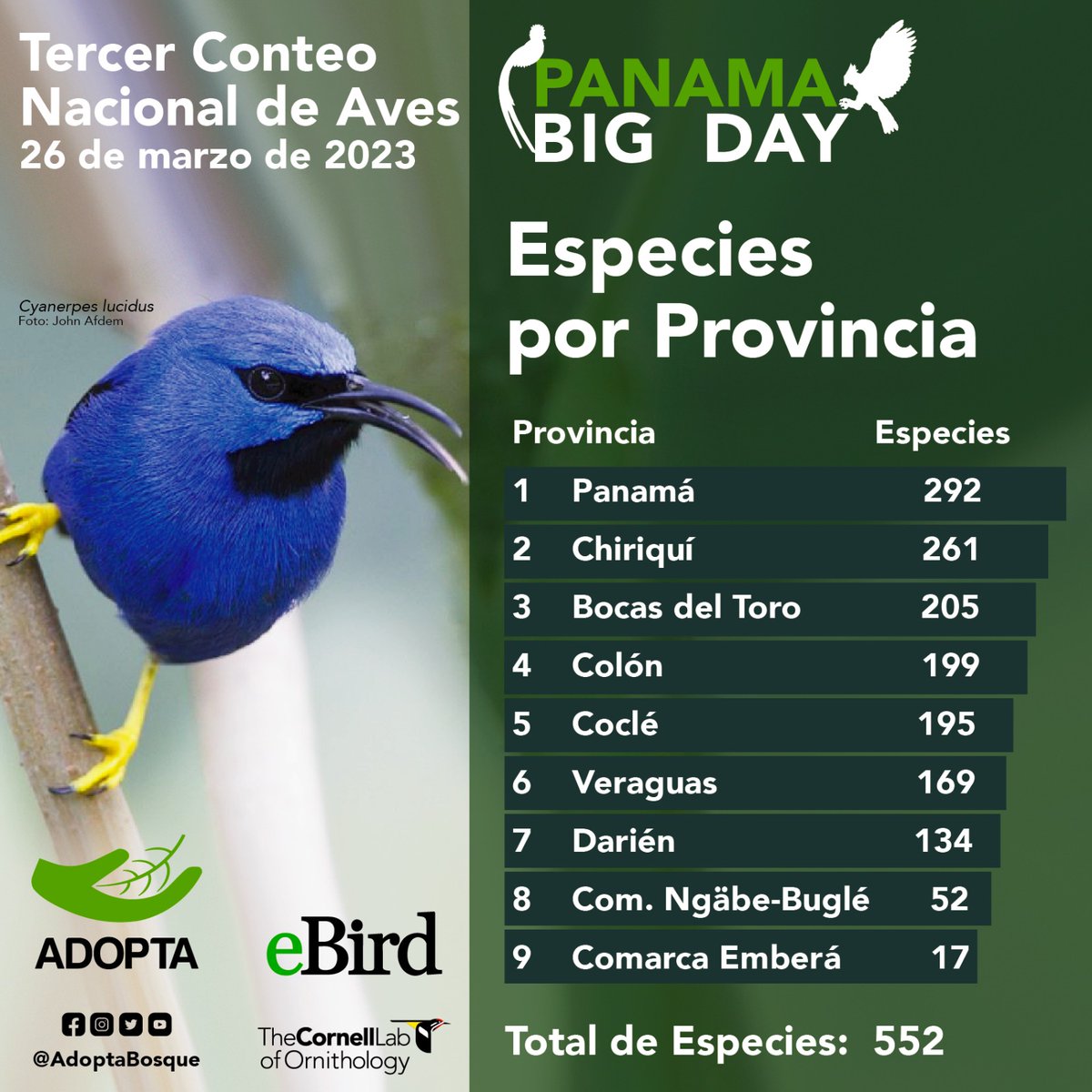 adoptabosque's tweet photo. Compartimos los Resultados del 3er Conteo Nacional de Aves #PanamaBigDay” realizado el pasado Dom 26 de marzo

La mayor variedad de aves (122 sp) fue reportada por el grupo BioCRECOBIAN de la Universidad Autónoma de Chiriquí (UNACHI) bajo el liderazgo del Prof Boris Sanjur. https://t.co/NA75k0AMlS