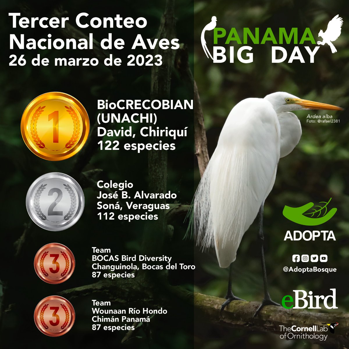 adoptabosque's tweet photo. Compartimos los Resultados del 3er Conteo Nacional de Aves #PanamaBigDay” realizado el pasado Dom 26 de marzo

La mayor variedad de aves (122 sp) fue reportada por el grupo BioCRECOBIAN de la Universidad Autónoma de Chiriquí (UNACHI) bajo el liderazgo del Prof Boris Sanjur. https://t.co/NA75k0AMlS