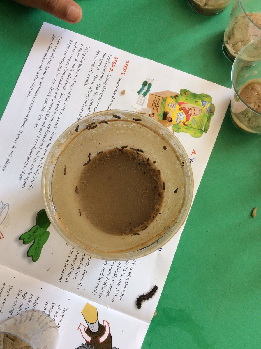 Exciting wriggly visitors in the EYU. 🐛 <a href="/yellow_columbia/">Yellow Room</a> <a href="/redblue_nursery/">Red & Blue Nursery</a> <a href="/red_columbia/">Red Class</a>