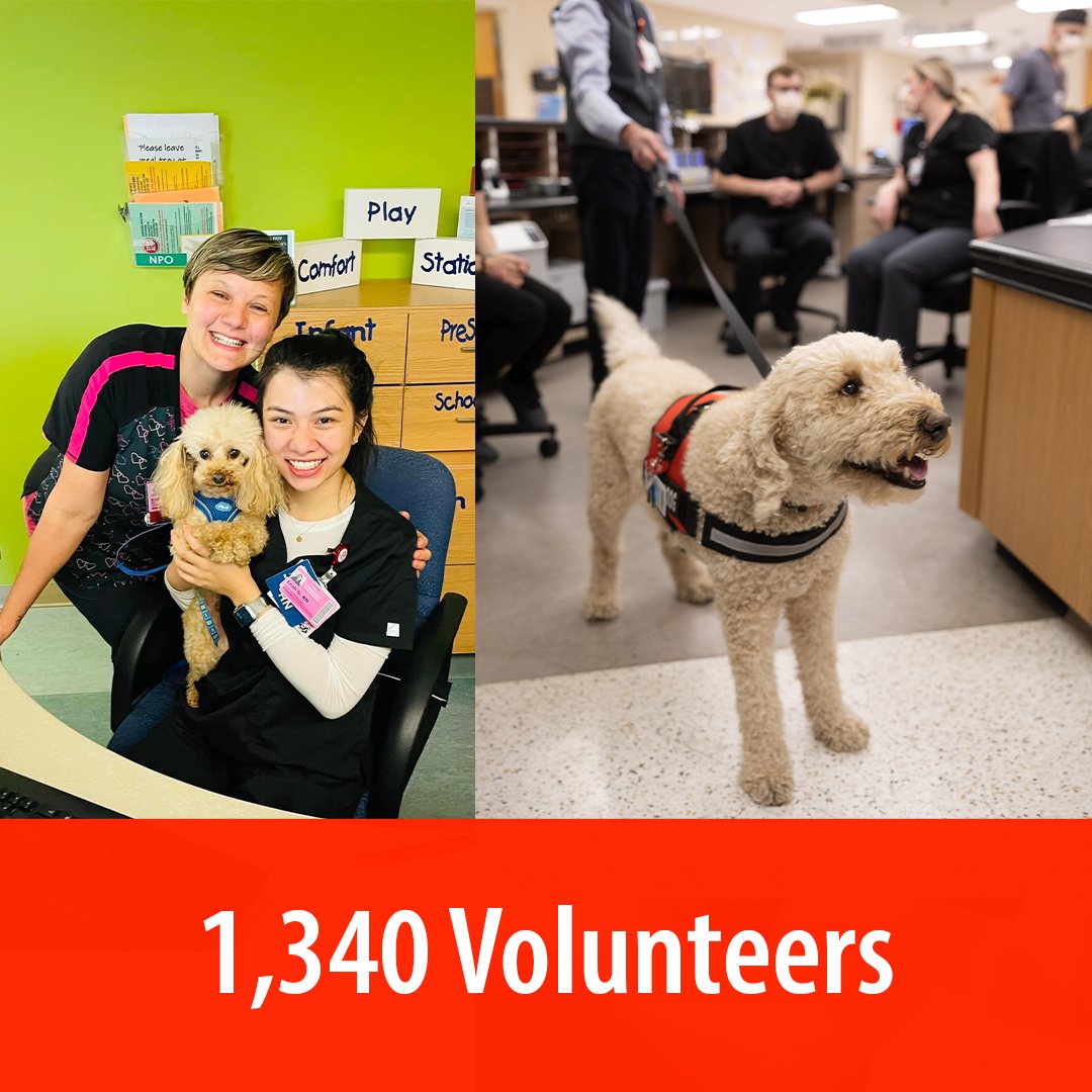 WakeMed's tweet photo. It's National Healthcare Volunteer Appreciation Week! We want to send a big THANK YOU to all our WakeMed Volunteers for their contributions to the WakeMed mission and our community.
#hcvolunteerweek #NationalVolunteerWeek https://t.co/fosLP72ZmA