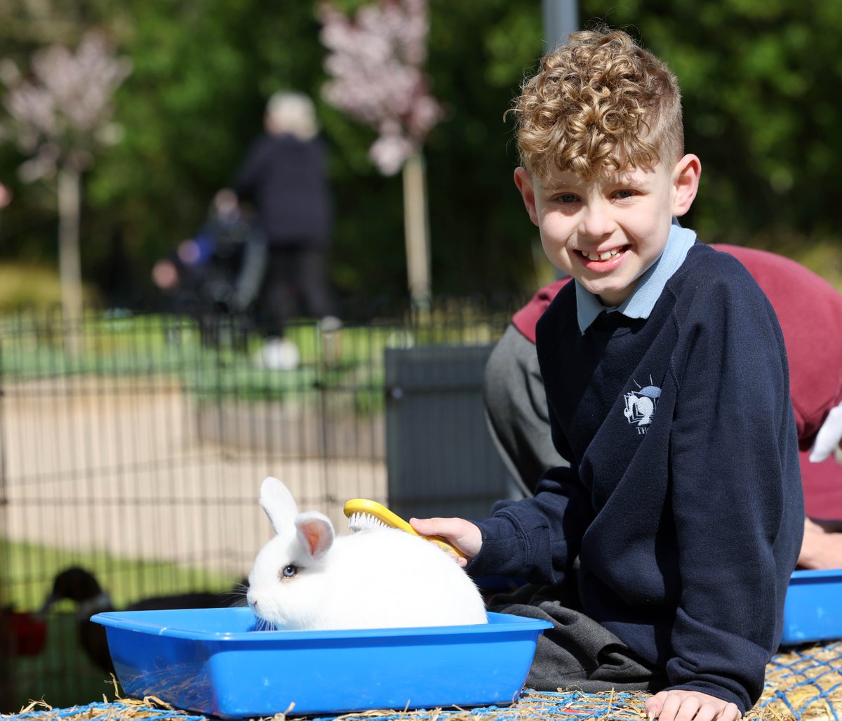 ANBorough's tweet photo. What fantastic weather for some sensory fun in the sun ☀️

Thank you to all Riverside School, Thornfield House School, Jordanstown School, Hill Croft School and Rosstulla School for joining us at our Sensory Funday in Antrim Sensory Garden 🌳 https://t.co/xBShsstoGd