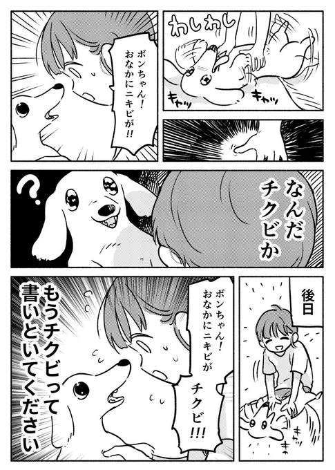 犬にお願いしたいこと