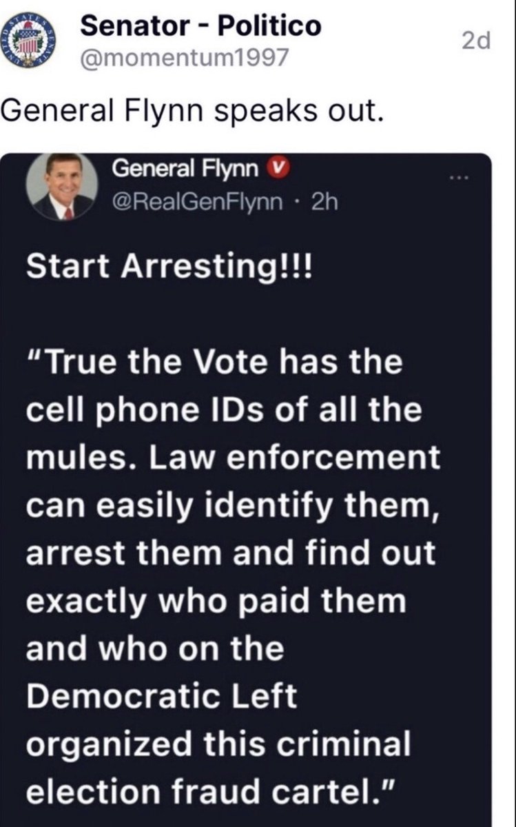 Who was responsible for the 2020 election fraud? Read what General Flynn says about it.