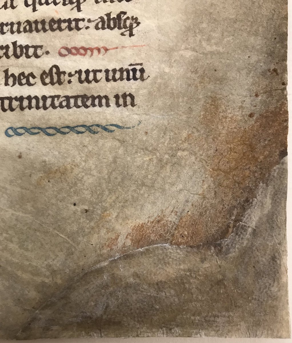 OhioStateRBML's tweet image. New #OttoEge leaf: Though stained and worn, still a fascinating #ManuscriptFragment from a 13th-century Flemish Psalter (HL 125), w/ text from the Magnificat, Nunc dimittis &amp;amp; Athanasian Creed. Early parchment repair at lower exterior corner is interesting, too. #fragmentology