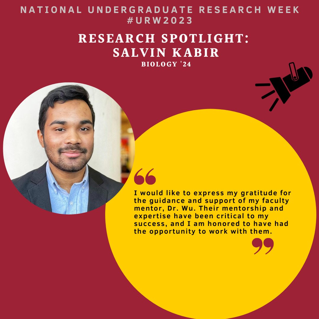 Meet Undergraduate Research Ambassador Salvin Kabir!🎉 #urw2023 Salvin conducts research in Dr. Jinhua Wu’s lab on the possible role of marine natural products in the development of novel cancer therapies. He will continue this research as a Diamond Research Scholar. Go Salvin!👏