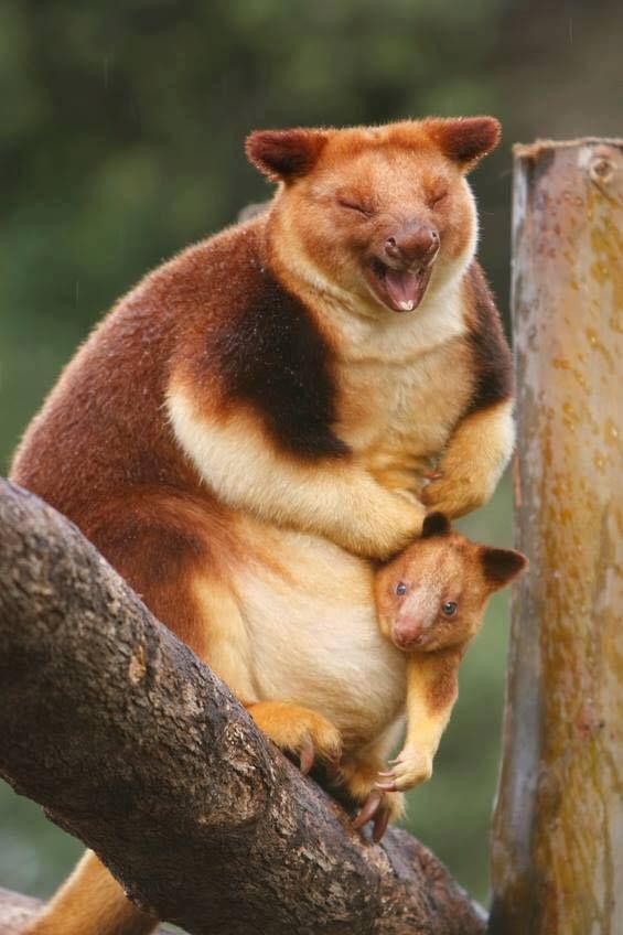 zalas.eth tweet media