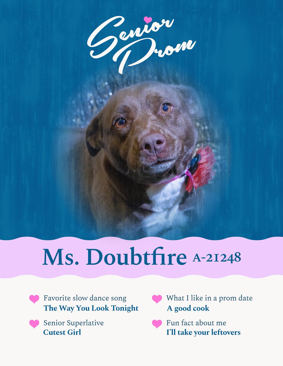 Euphegenia Doubtfire 6/10