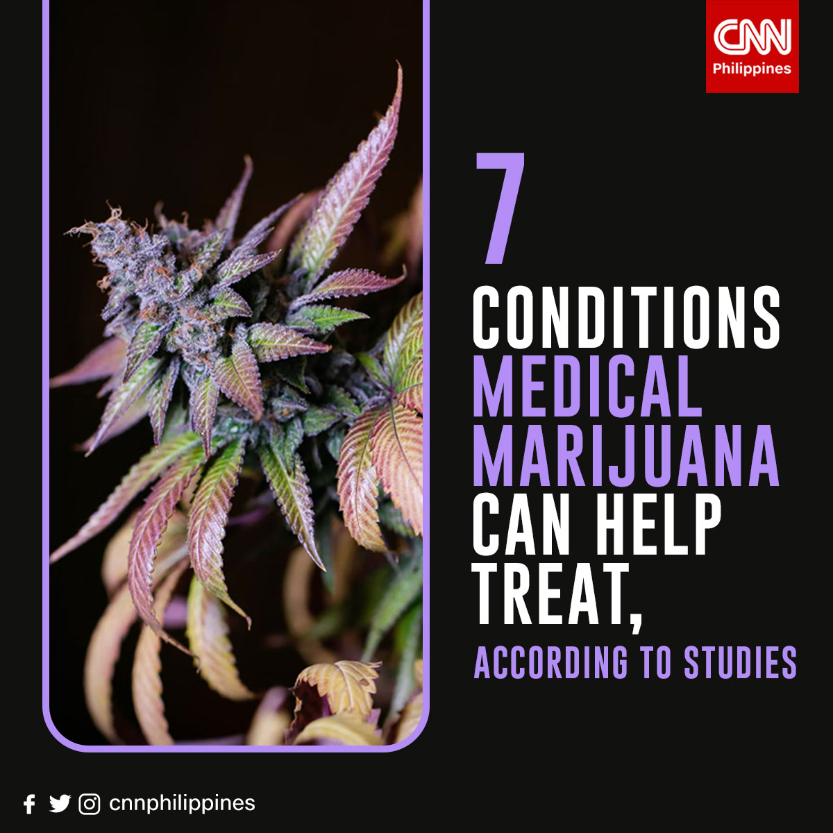 NewsWatch Plus PH tweet media