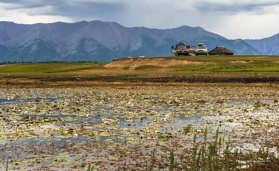 Mongolia tweet media