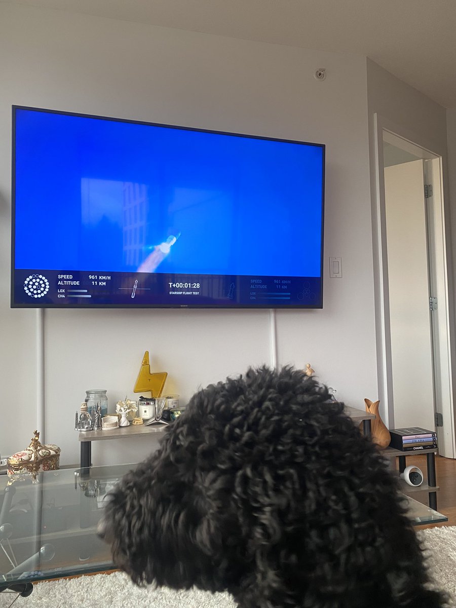 KJarahian's tweet photo. #starship #spacex https://t.co/9Y87vwXBUL