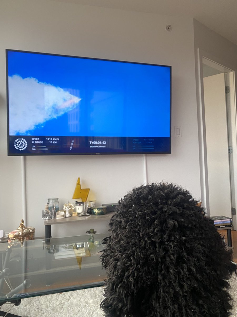 KJarahian's tweet photo. #starship #spacex https://t.co/9Y87vwXBUL