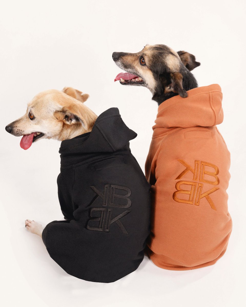 keybiscayneweb's tweet photo. Dorita y Valen protagonizan la campaña "Key Dogs".  Fueron rescatadas de la calle, donde se encontraban abandonadas y con severos problemas de salud. Ambas recibieron atención médica, un hogar con mucho amor y una nueva oportunidad de vida.
#AdoptarEsAmar @ZaguatesRefugio https://t.co/rCwT5EkGXE