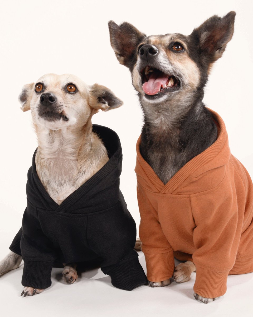 Dorita y Valen protagonizan la campaña "Key Dogs".  Fueron rescatadas de la calle, donde se encontraban abandonadas y con severos problemas de salud. Ambas recibieron atención médica, un hogar con mucho amor y una nueva oportunidad de vida.
#AdoptarEsAmar <a href="/ZaguatesRefugio/">Zaguates Refugio</a>