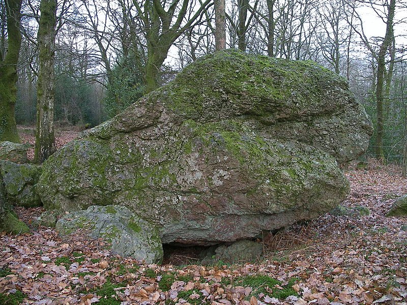 MonumentumFr's tweet photo. Dolmen dit Pierre Dialan à #Jurques (#Calvados) Construction Néolithique. Dolmen dit Pierre Dialan (cad. E 124) : classement par liste de 1889.
Suite 👉 https://t.co/McpaVFZ2WH
#Patrimoine #MonumentHistorique https://t.co/BdG5sykRix