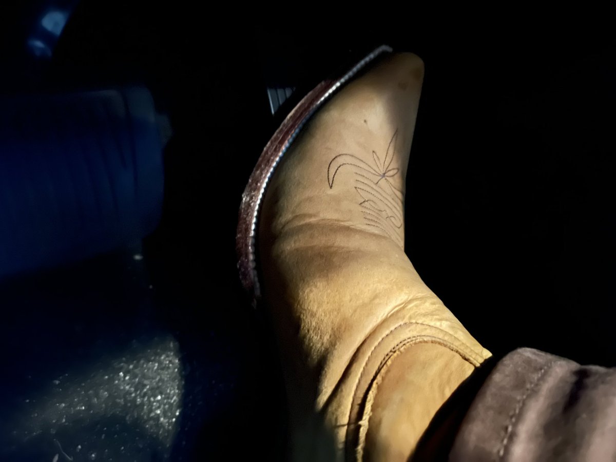 PedalFanYt's tweet photo. After all this crazy rain, I’m back in my cowboy boots and let me tell you, it’s great to be back and booted! 🤠🚘👢 #CowboyBoots #DrivingInBoots #WesternStyle #Yeehaw #RodeoReady #BootLife #BootScootinBoogie #pedal #GiddyUp #RoadTrip #CountryLiving #DrivingAdventures https://t.co/OMkjdhUjZO