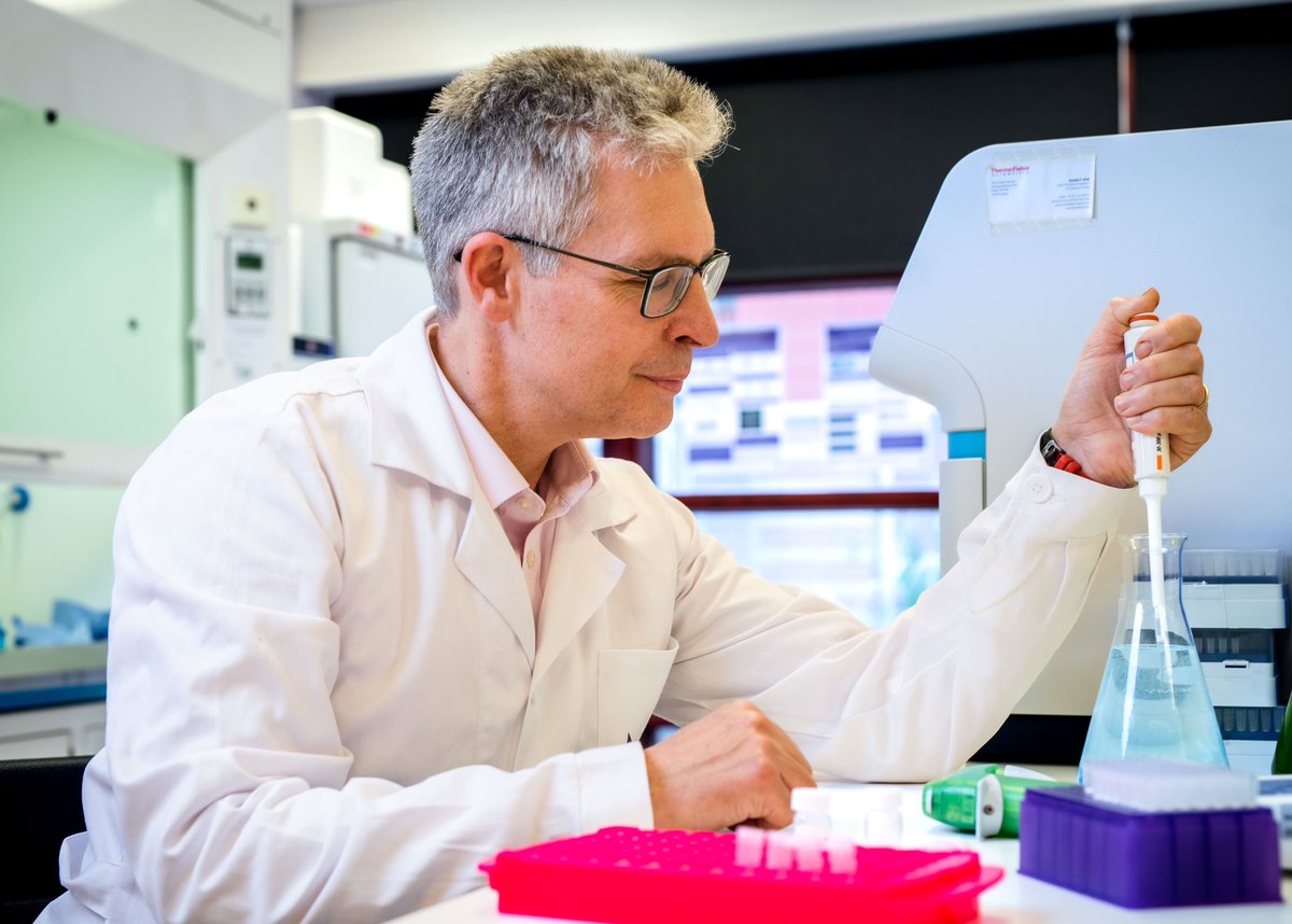 Sassy Plus tweet media