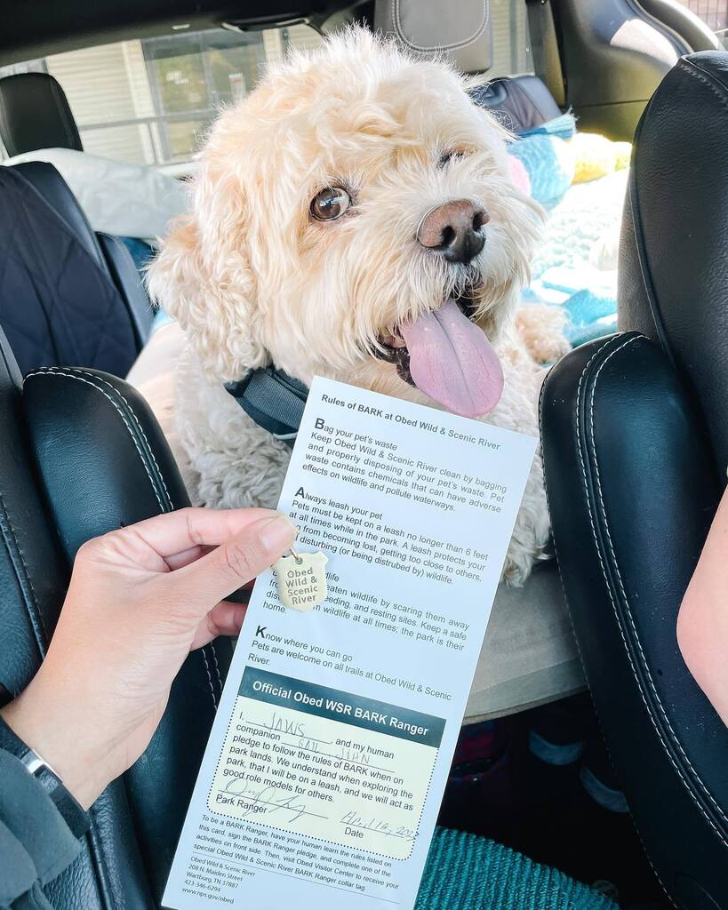 mgmros's tweet photo. Jaws: We are on a roll! Jaws became an official BARK Ranger @obednps. Always watch out for ticks when hiking. Found a couple on him. #barkrangers https://t.co/sgQdzsJCfS https://t.co/pKSvZ5ET6j