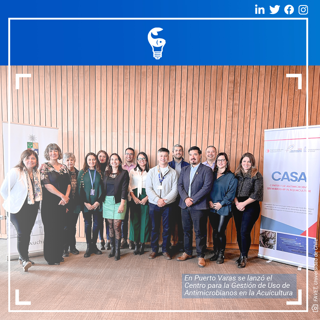 abcsalmonicult2's tweet photo. 💪Recientemente, fue lanzado el Centro para la Gestión de Uso de Antimicrobianos en la Acuicultura (CASA), liderado por la Universidad de Chile, que busca apoyar la implementación de estándares para reducir el riesgo de Resistencia Antimicrobiana.  Visita: https://t.co/dcsjmycMrH https://t.co/ARUZ9X7Jjg