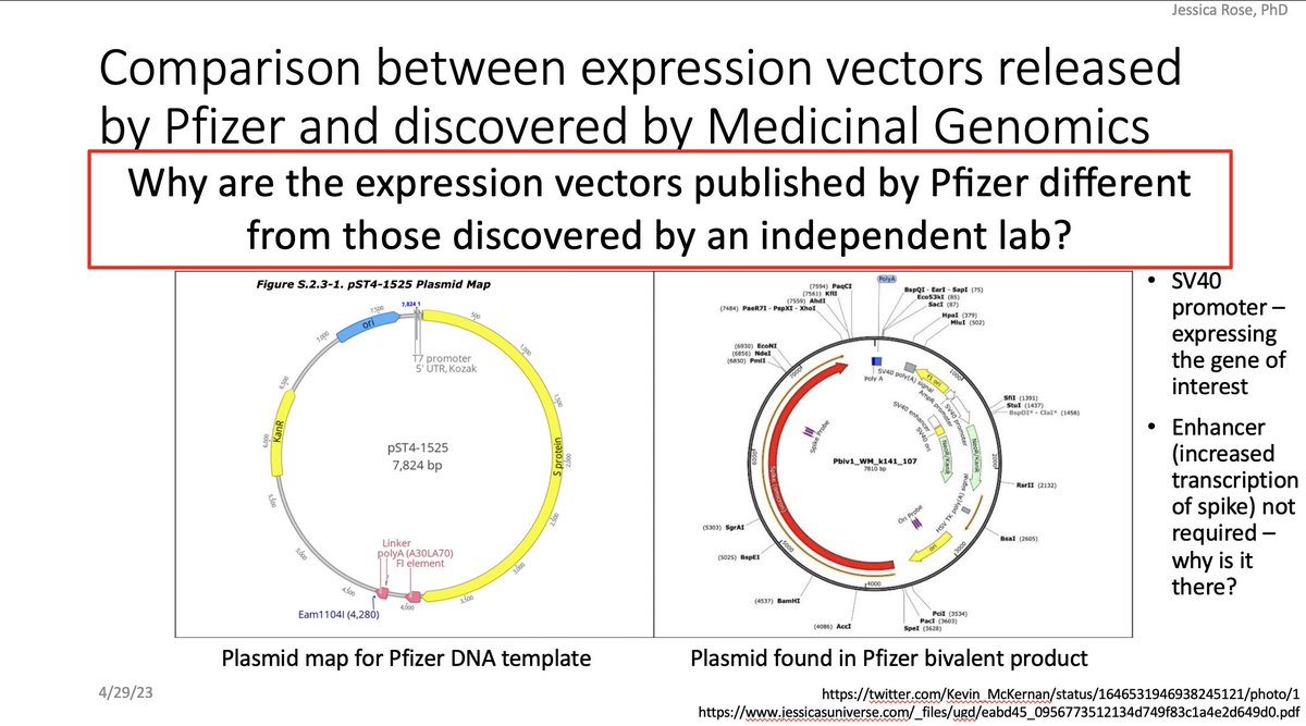 JesslovesMJK's tweet image. @Kevin_McKernan For an upcoming talk. Why ARE they different? Are they different like how the Western Blot results were different? #blotgate @Jikkyleaks @sonia_elijah