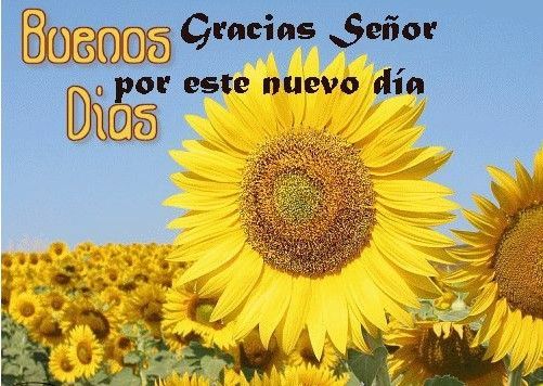 ☺️🌤️🌹Buenos días pará Todos nuestros seres amados que mi Dios los bendiga hoy y siempre feliz jueves 🙏
#ManoDeHierro
@MkPatriota @Alvarex2808 @EmyMay75070510 @zeliannys11 @EverJulio13 @militzahergar @AliroLobo  @yenny_escorche @luis16684716 @estr3mao1411
@Lyzi00 
@DayiRivero3