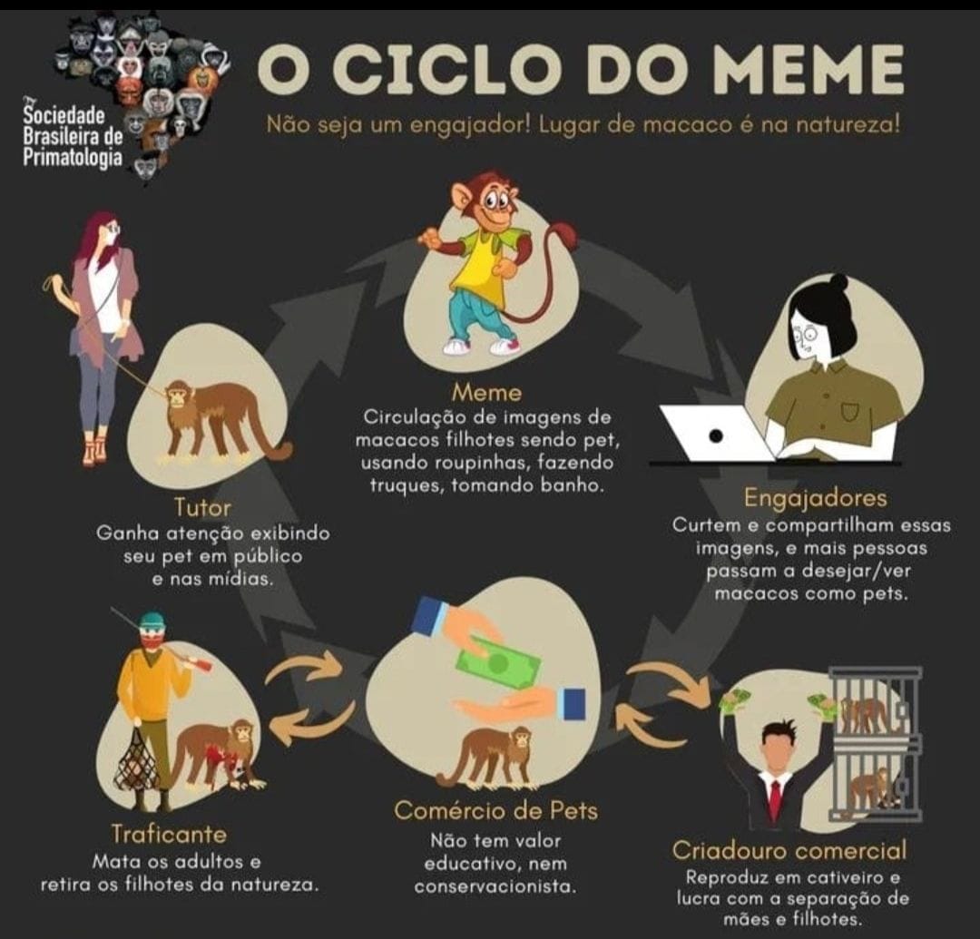 Sem empatia com influenciador que usa animal silvestre com pet.