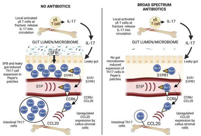 Hamid Yousf Dar tweet media